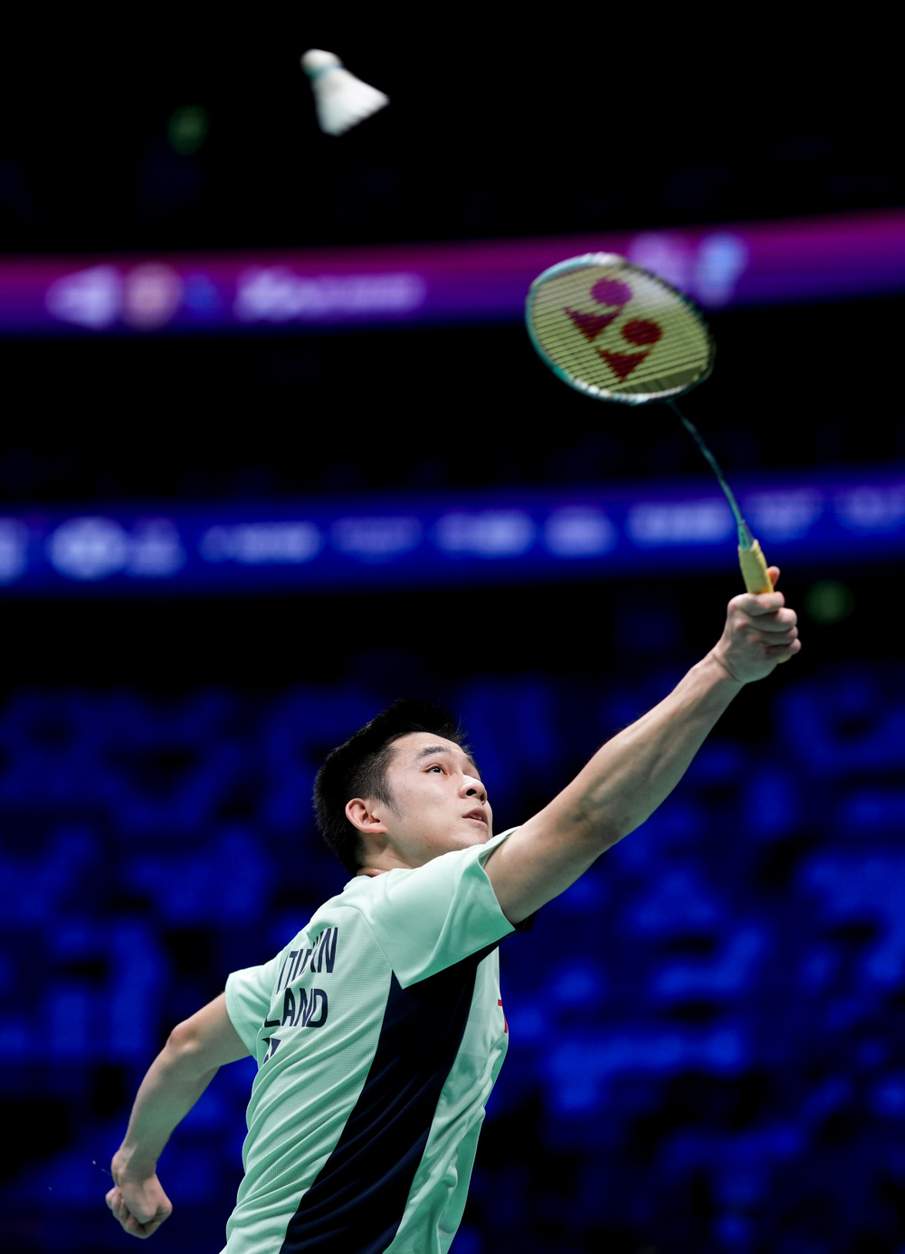 项目增添了 项目增添了