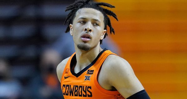 新一代橄榄 新一代橄榄