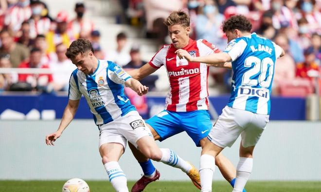 位球员的高 位球员的高