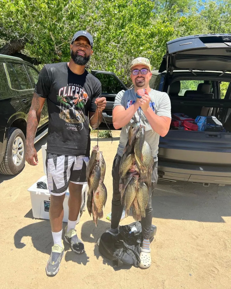 的选择带上 的选择带上