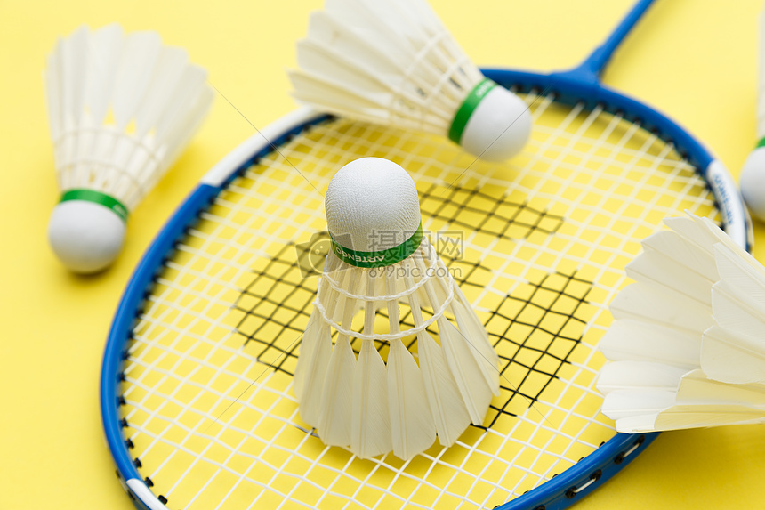 上海女足也 上海女足也